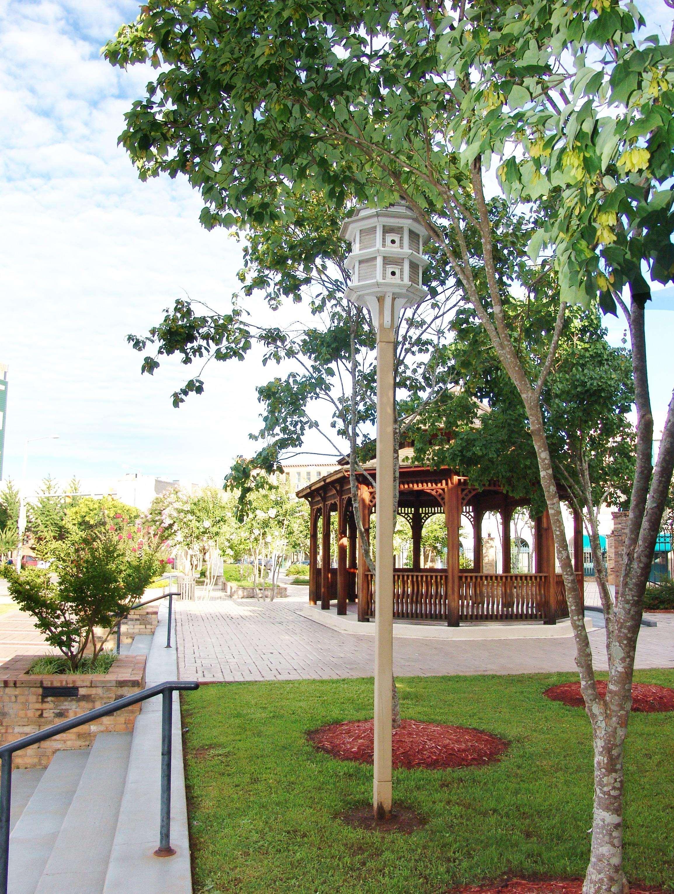Hilton Garden Inn Meridian Tiện nghi bức ảnh